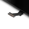 iPhone 15 display assembly